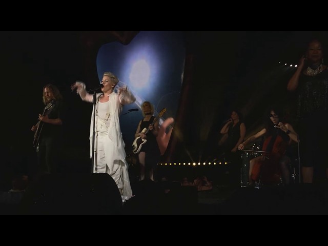 PINK - I Am Here (live from Vienna - Front Of Stage)