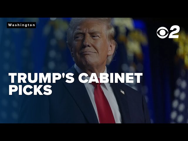 Here's the latest news with President-elect Trump's cabinet picks