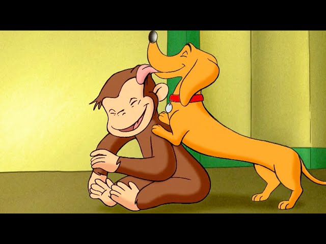 George e il cane giocoso! 🐵 Curioso Come George 🐵 Cartoni per Bambini