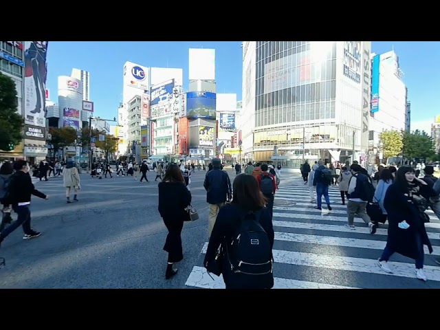 Japan 2022 (2022.11.16): A Brisk Stroll Through the Shibuya Scramble