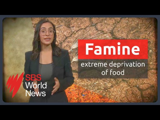 How is famine classified? 1.1 million people in Gaza facing 'catastrophic' food shortages | SBS News