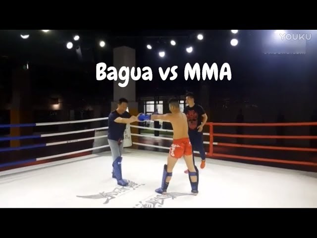 Bagua Kung Fu vs MMA Fight - Chinese Martial Arts Tested