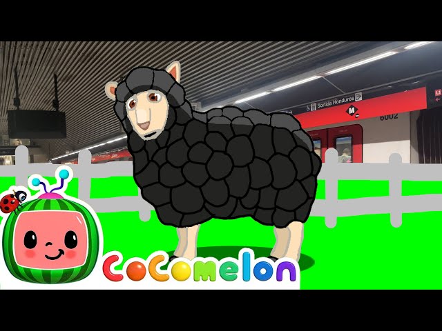 Baa Baa Black Sheep ⬛🐑 - Sing Along! 🎤✨ | CoComelon Nursery Rhymes & Kids Songs