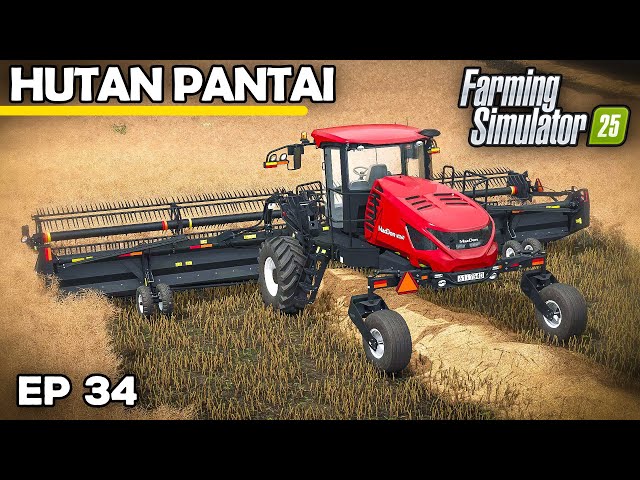 WE ARE SWATHING CANOLA! | Farming Simulator 25 - Hutan Pantai | Episode 34