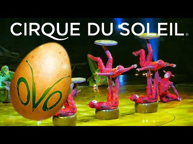 CIRQUE DU SOLEIL OVO Amazing Juggling Act HD 2017