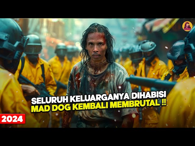 Balas Dendam Master Bela Diri Paling Mematikan Setelah Seluruh Keluarganya Dihabisi alur cerita film