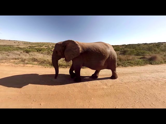 360° Impressionen aus Südafrika | DER.COM