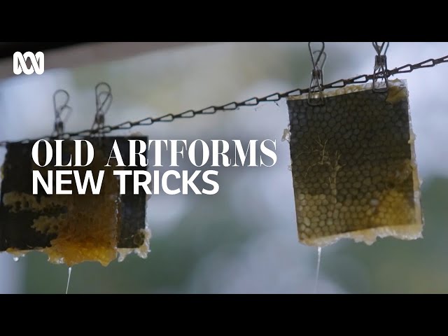 Developing photographs with the help of bees: Sammy Hawker | Old Artforms, New Tricks