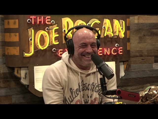 Joe Rogan Experience #1977 - Dave Smith