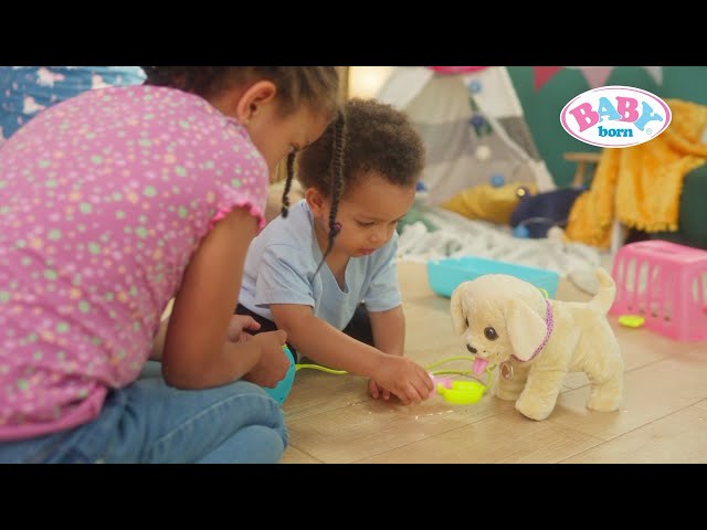 🐶💖 Animal Adventures: Meet My Dog Lucky with Box | BABY born