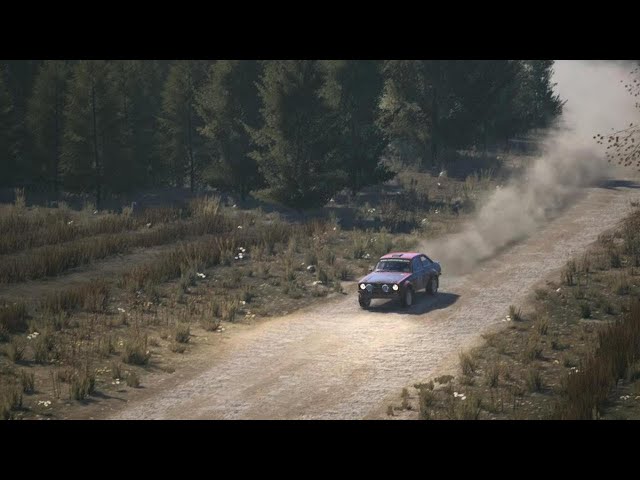 EA SPORTS WRC Esky moment 9th