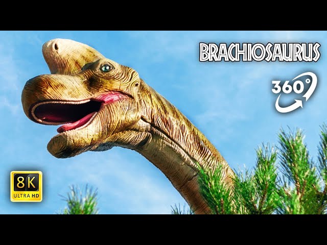 VR Jurassic Encyclopedia #7 - Brachiosaurus dinosaur facts 360 Education