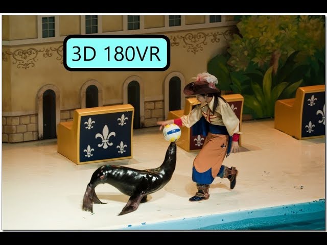 3d 180VR  Seal Show 360VR SeaWorld 3dvr ps4 psvr