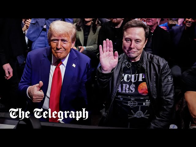 Donald Trump and Elon Musk attend UFC championship fight with top cabinet picks