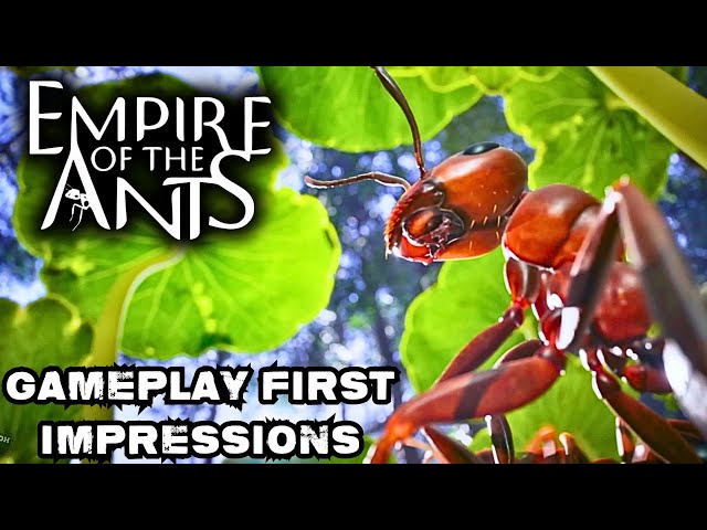 Can You Lead the Colony? Empire of the Ants Gameplay!