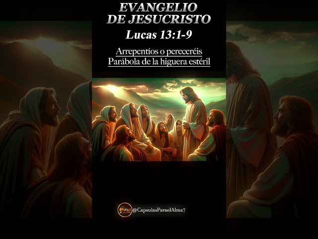 EVANGELIO DE HOY 📖 🌟 Sábado 26 de Octubre 2024 ✝️ Reflexión, Mensaje y Bendición del Día 🙏✨