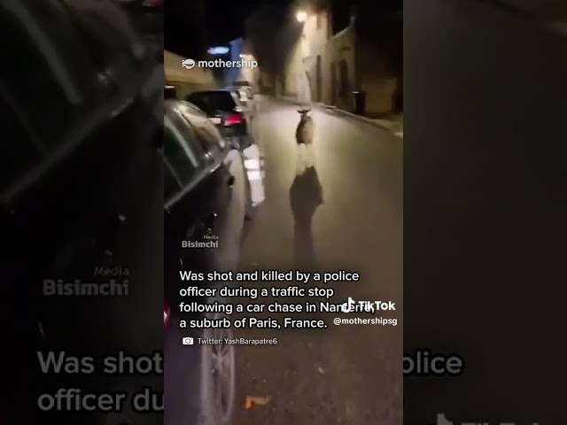 Zoo animals released in France as riots continue