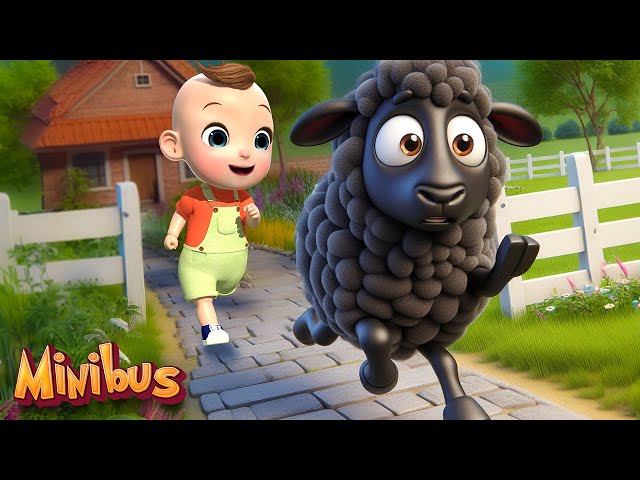 Baa Baa Black Sheep + More Animals Songs | Minibus Nursery Rhymes & Kids Songs