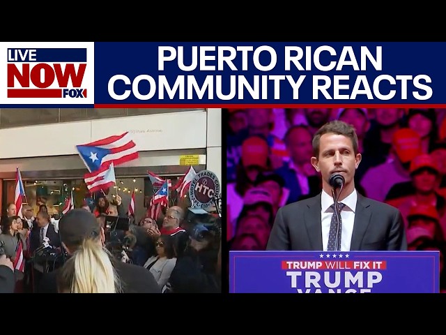 Trump MSG rally: Fallout continues over comedian's remarks about Puerto Rico | LiveNOW from FOX