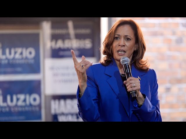 Democrat Party slammed for ‘making woke the top priority’ for America