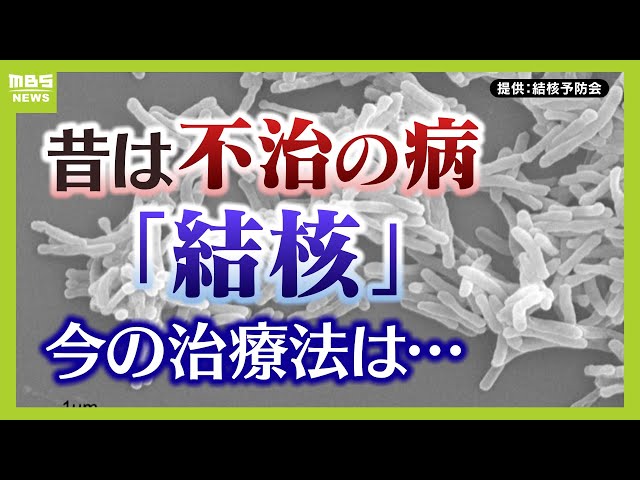 【今も身近な感染症】結核患者は年間１万人超！？治療と予防法は？発症のカギを握る『免疫力』（2024年10月4日）