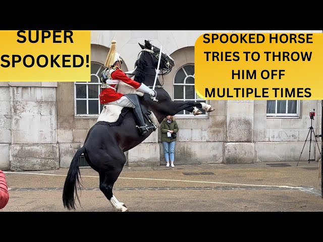 KING’S GUARD STUNS WITH AMAZING HORSEMANSHIP SKILKS.