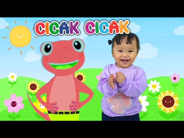 LAGU ANAK CICAK CICAK DI DINDING AYASHA & BEYZA 💗 LAGU ANAK INDONESIA POPULER