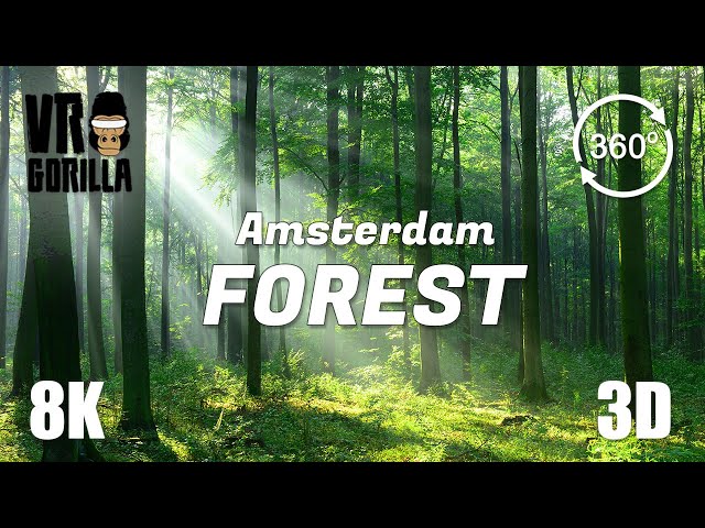 The Amsterdam Forest in Springtime - 8K 3D 360 Video (short)