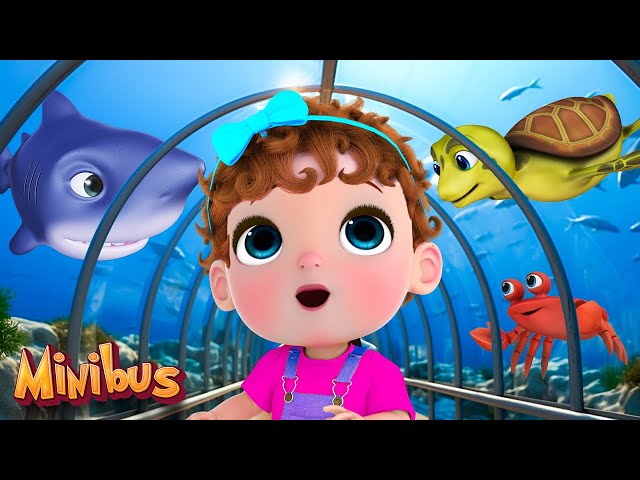 Ocean Animals Song + More Nursery Rhymes & Kids Songs | Minibus