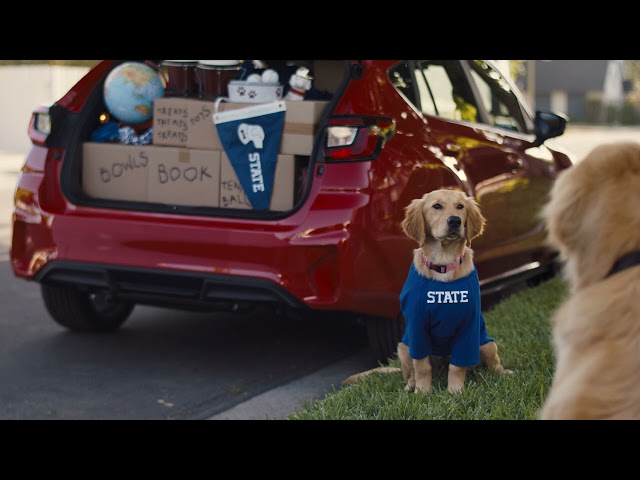 Teen Barkley Goes to College | Subaru Dog Tested TV Commercial