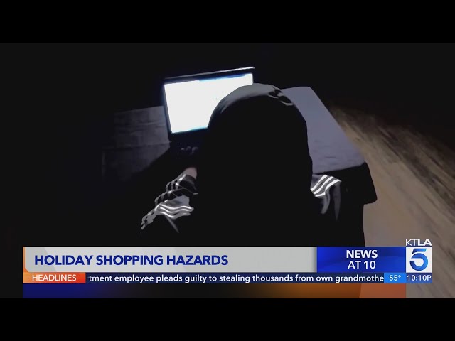 Police warn of holiday shopping hazards