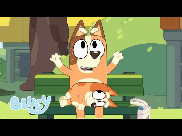 Animals 🐆 🧡 | FULL BLUEY MINISODE | Bluey