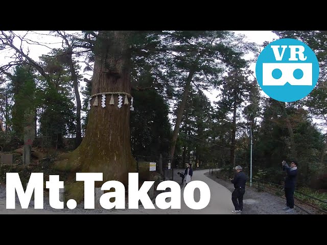 Tokyo Mt.Takao | VR180 3D | VR Video | insta360 EVO | hiking