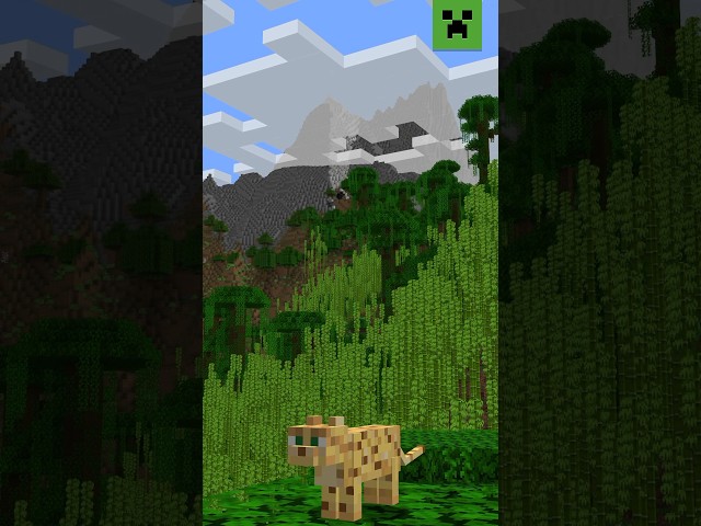 WHAT'S YOUR FAVOURITE MINECRAFT SEED?