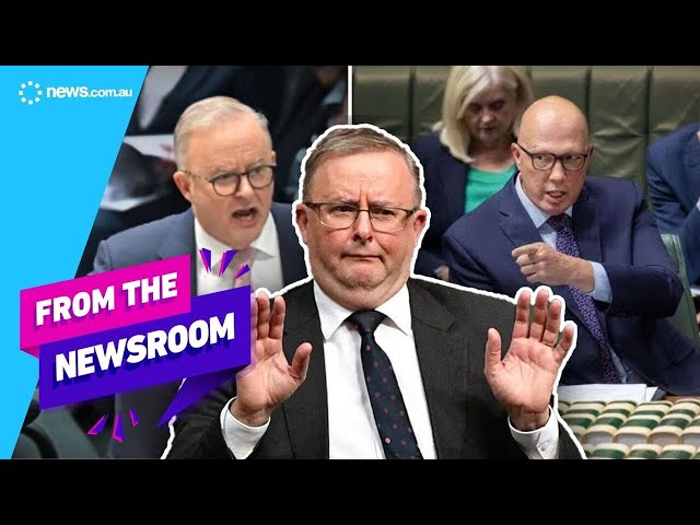 Backlash for Anthony Albanese's comment in parliament | Top stories | From the Newsroom