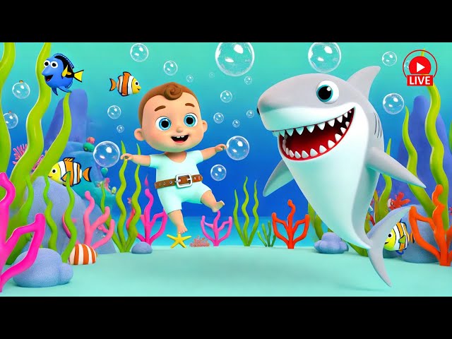 Baby Shark + Kids Nursery Rhymes | 🔴 Live