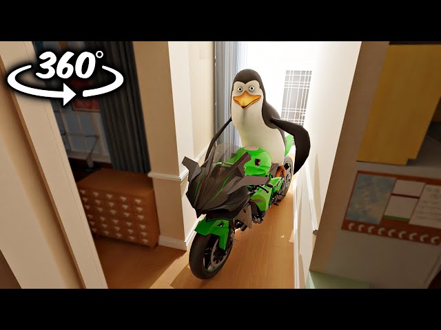 360° Los Pingüinos me la van a Mascar Breaks into Your House!