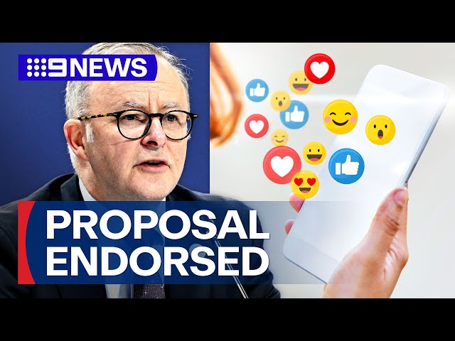 Premiers back PM's social media ban | 9 News Australia