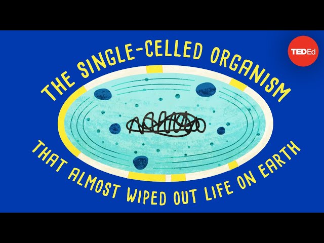 How a single-celled organism almost wiped out life on Earth - Anusuya Willis