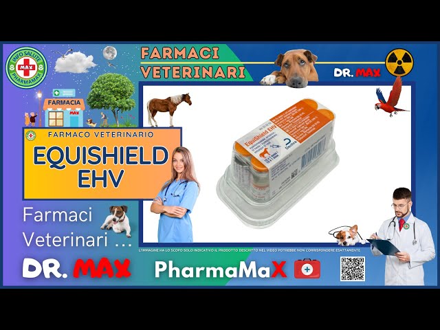 🐶 EQUISHIELD EHV Farmaco Veterinario a cosa serve ? - Foglietto Illustrativo 👔 Dr. MAX