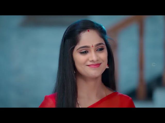 Vidhya No 1 - Quick Recap - Ep no20 - Vidhya,Sanjay,Vedavalli - Zee Tamil