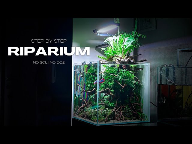 RIPARIUM BUILD VIDEO | STEP BY STEP | AQUASCAPING TUTORIAL  | NO CO2