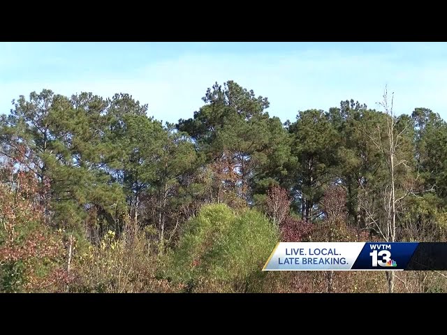 Federal wildlife officials review the removal of a bald eagle nest in Alabama