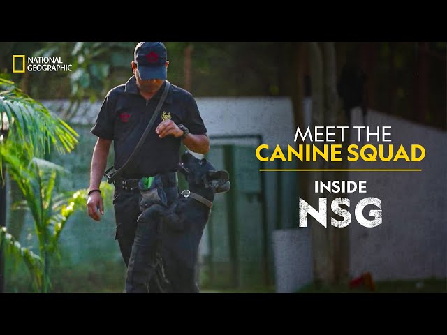 Meet the Canine Squad | Inside NSG | National Geographic