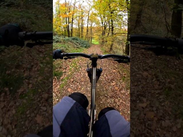 Before work VTT endurigide du lundi #vtt #mtb #bike #gopro #pov #hardtail #downhill #ride #rider