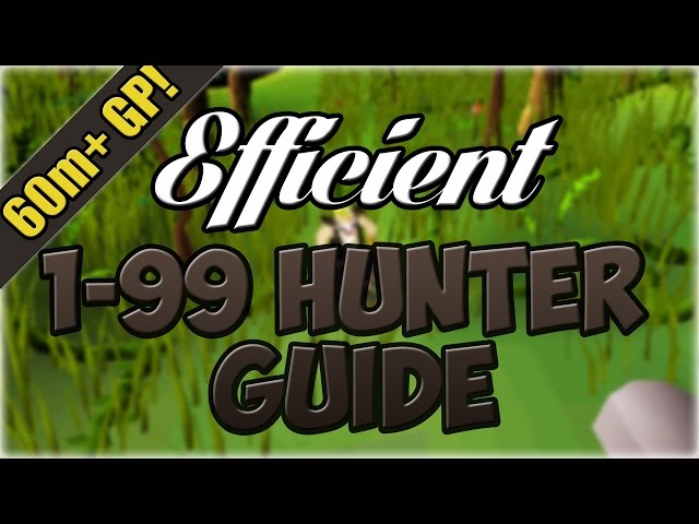 Oldschool Runescape EFFICIENT 1-99 Hunter Guide | 60M+ Profit! (In-Depth Black Chins Guide at 10:14)