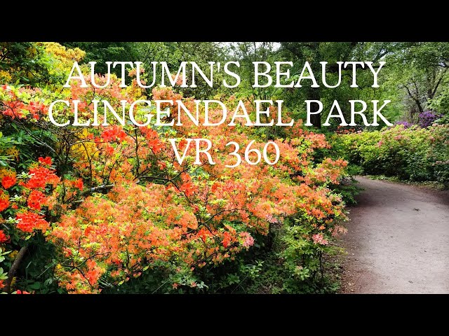 Discovering autumn's beauty in Clingendael Park in The Hague in VR 360