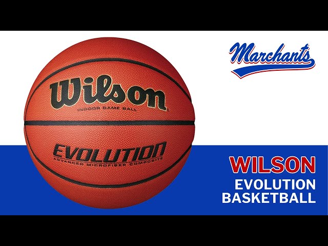 Wilson Evolution Basketball