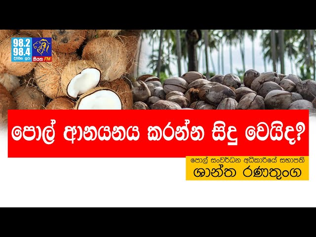 පොල් ආනයනය කරන්න සිදු වෙයිද? | Siyathafm News