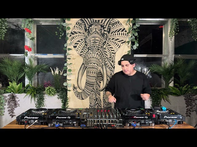 Elephant session # 92 Ignacio Var